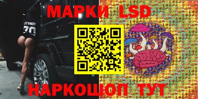 бошки Краснознаменск
